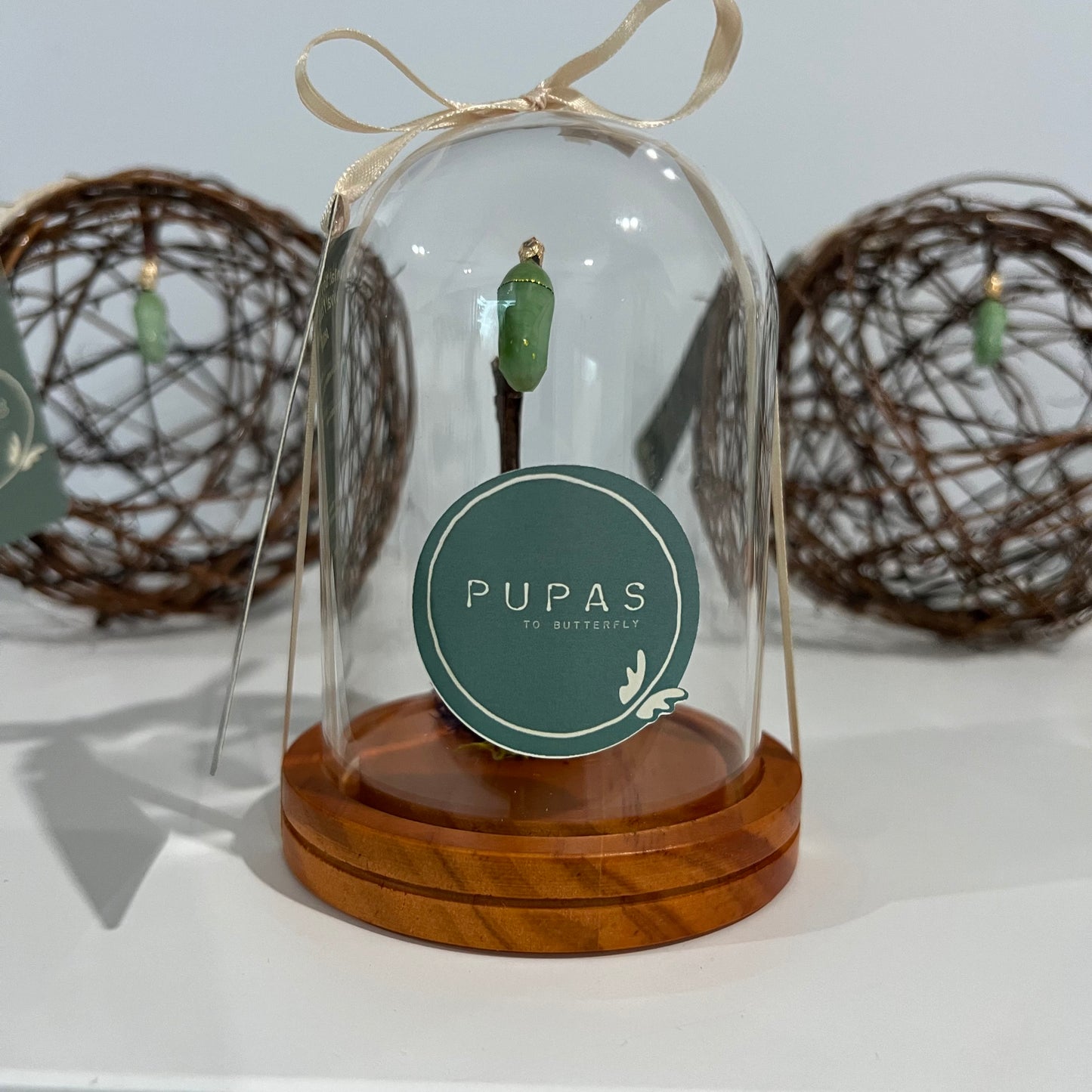 Cúpula de Vida